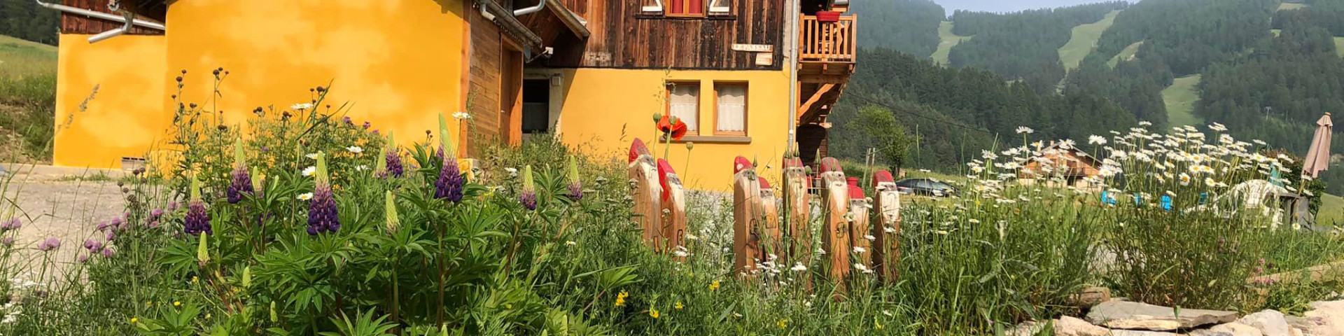 Un été au Passau
